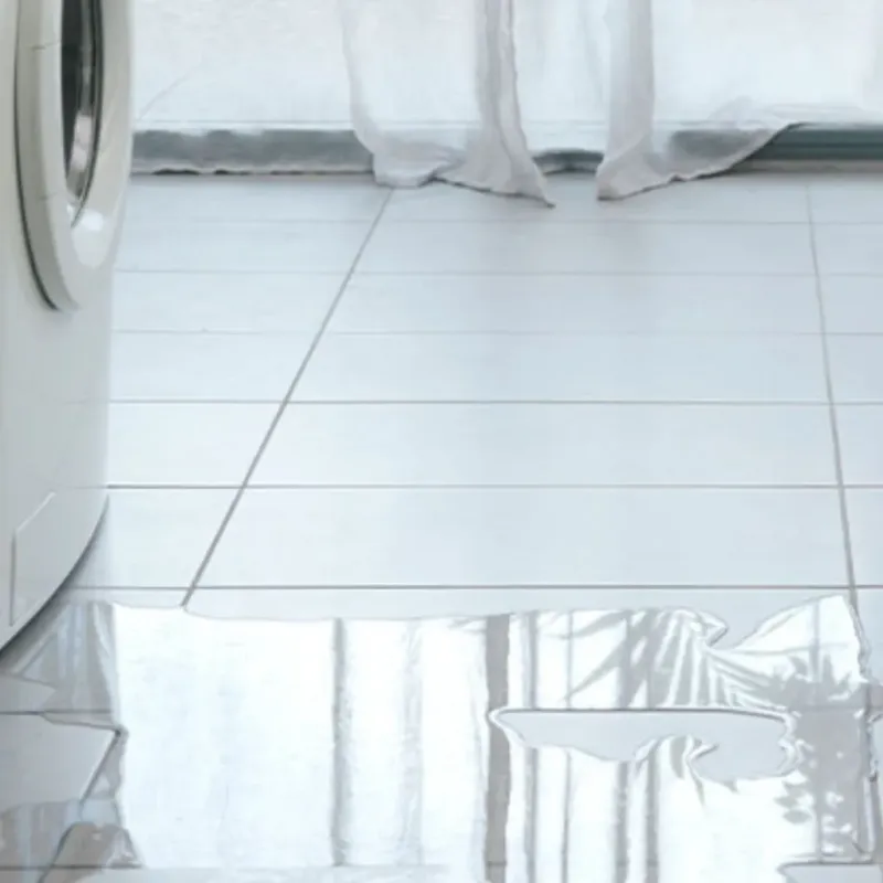 Appliance Leak Cleanup in Todd County, MN