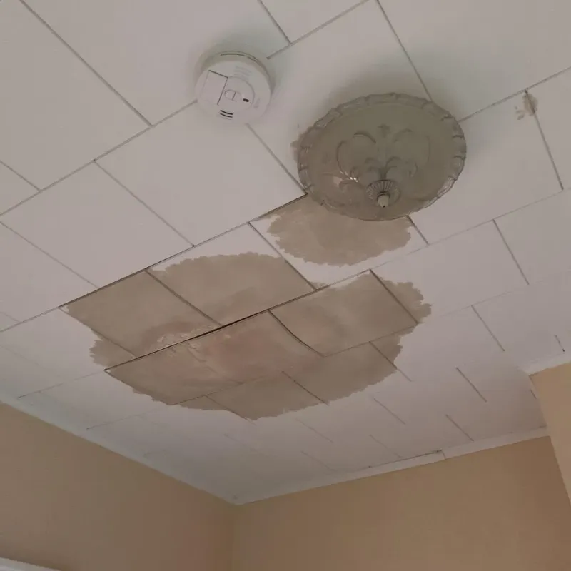 Ceiling Water Damage Repair in Todd County, MN