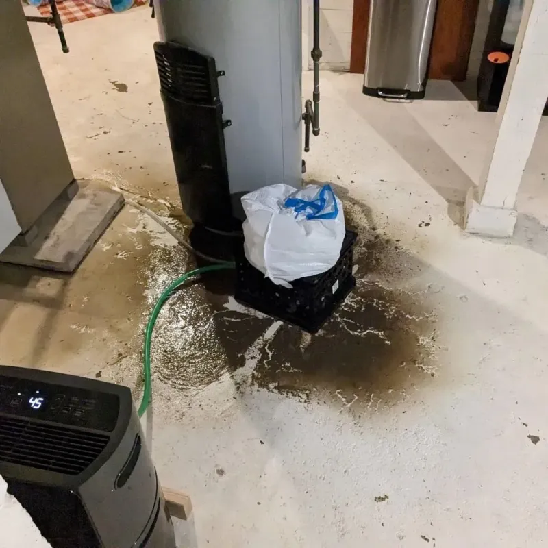 Sewage Backup Cleanup Service in Todd County, MN